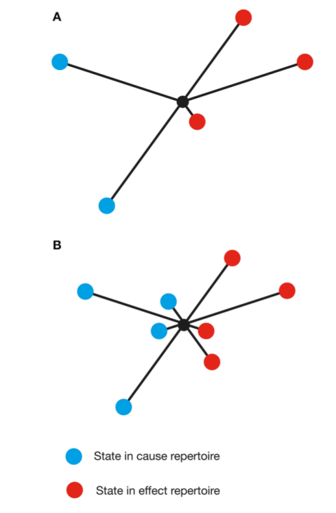 gallimore-cause-effect