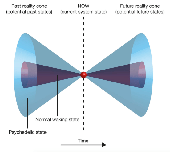 gallimore-reality-cone