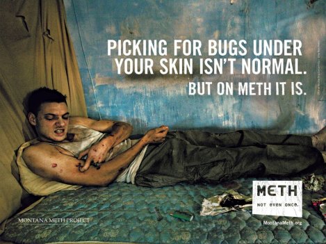 methad1-pickingbugs